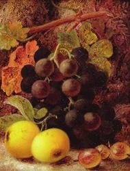 Uvas, maçãs e groselhas